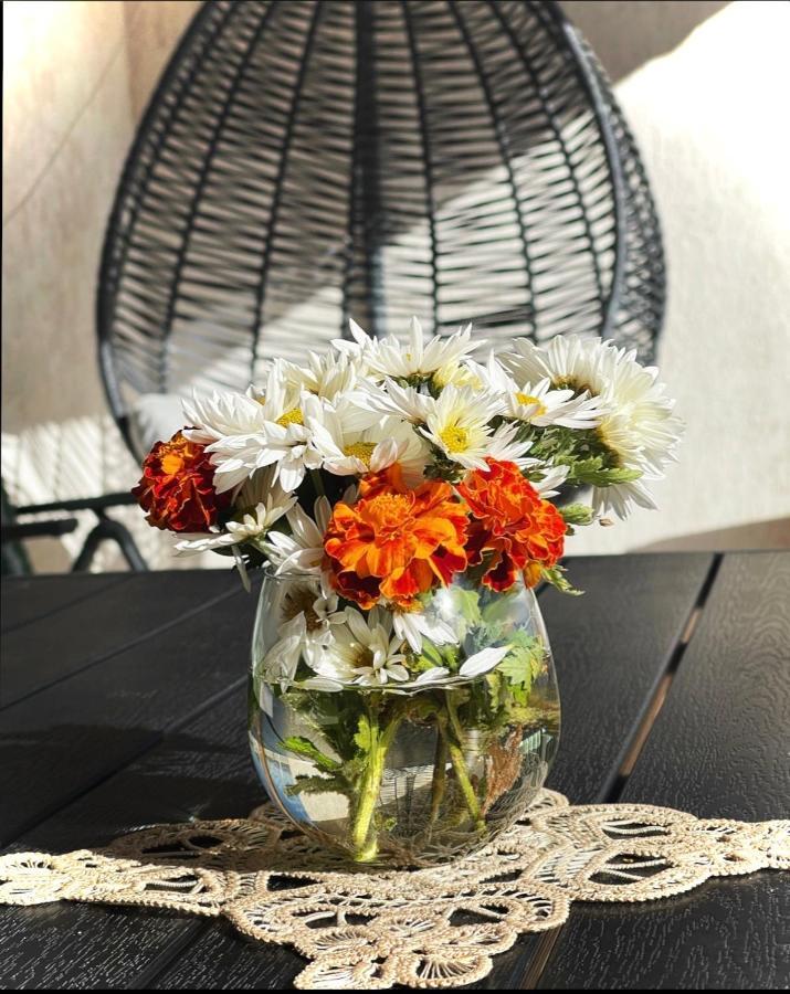 Villa Garden 普里什蒂纳 外观 照片