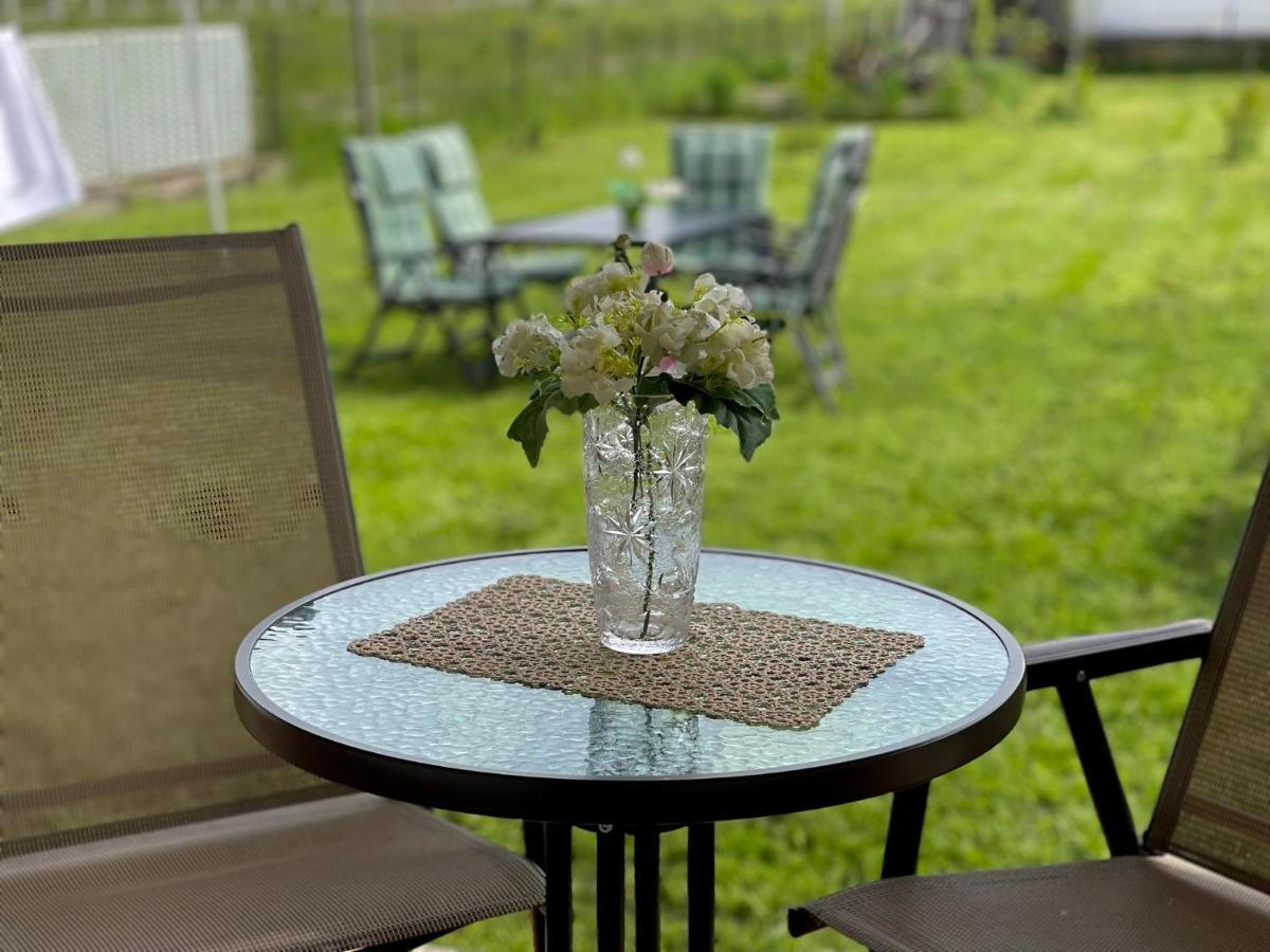 Villa Garden 普里什蒂纳 外观 照片